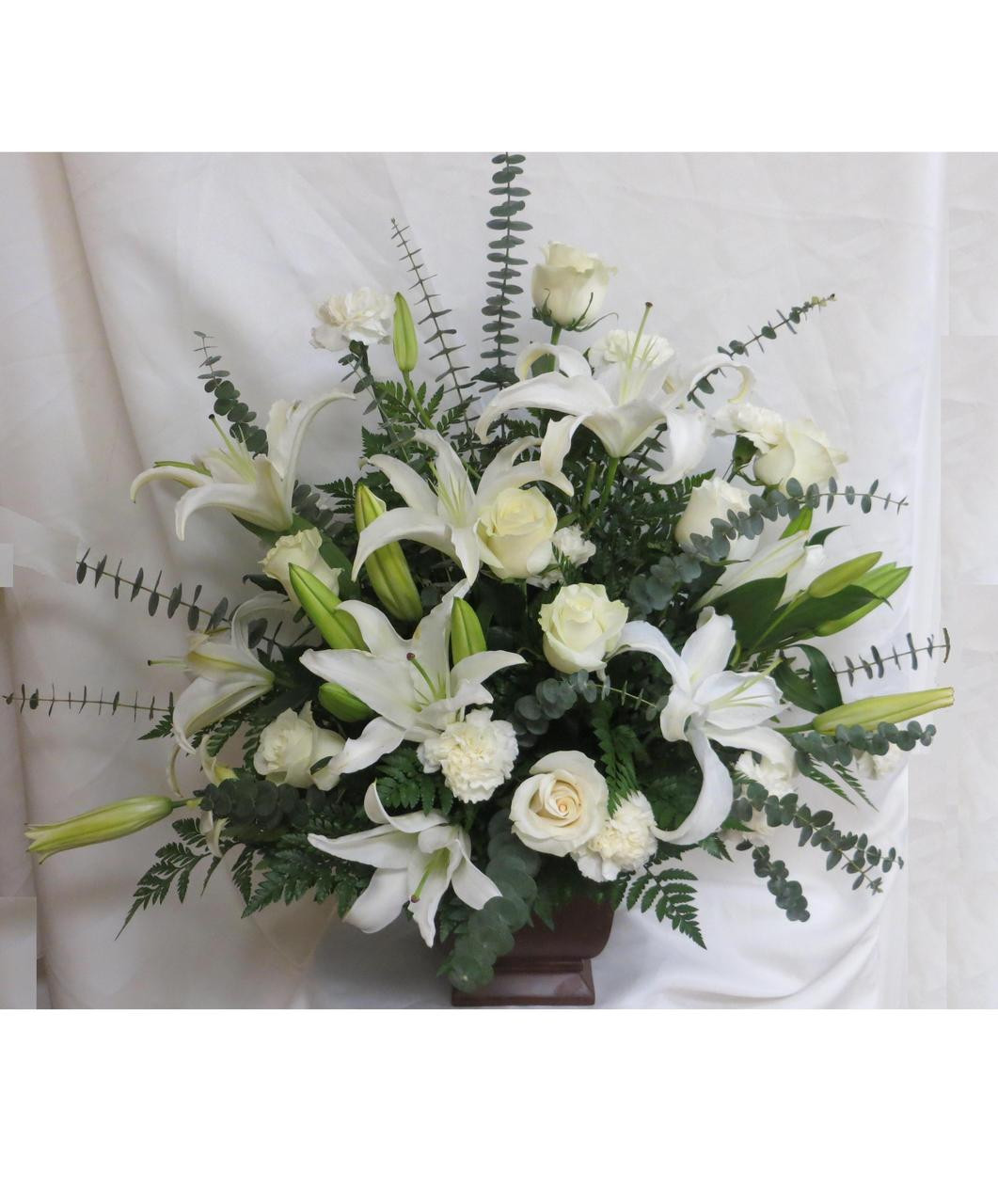 White Lily Serenity